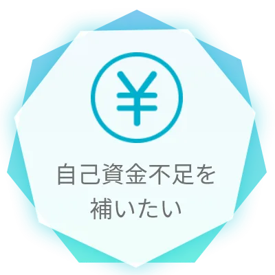 自己資金不足を補いたい